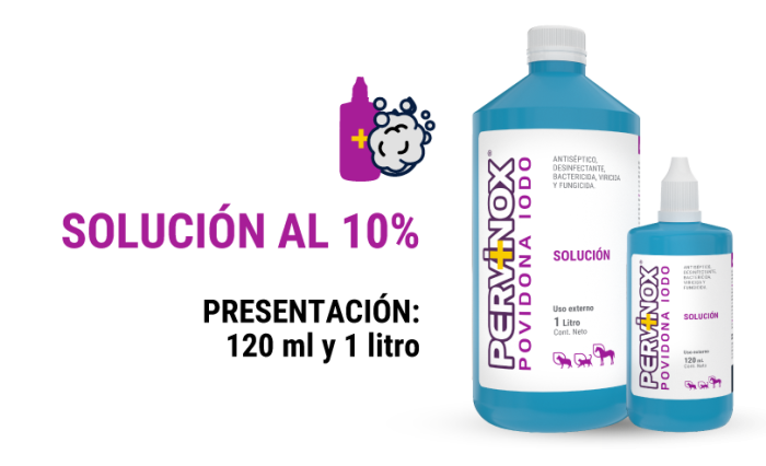 Pervinox Veterinario Solución
